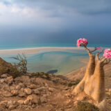 Socotra-©-Daniel-Ricardo-Gonzalez S.