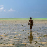 Socotra-©-Daniel-Ricardo-Gonzalez S..