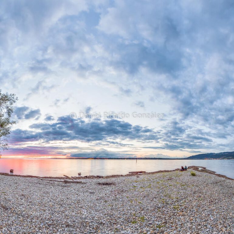 Sonnenuntergang in Bregenz am Wurzelbaum mit Abendrot und bewölkten Himmel.